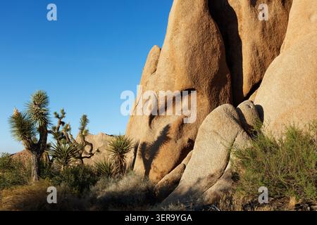 Joshua Tree National Park, California, USA Stock Photo