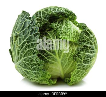 Savoy cabbage isolated on white for you design Stock Photo