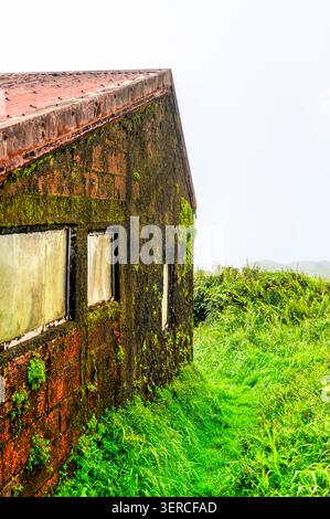 An old concrete building covered in vibrant green moss stands on the foggy slopes of Mount Pelee in Martinique, Caribbean France Stock Photo