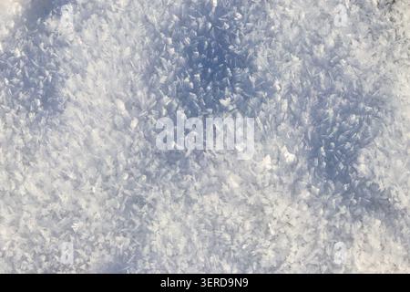 Texture of the white snow. Winter background Stock Photo