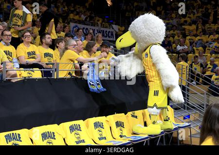 ALBA fans [supporters], fan block, with light-up wristbands nordphoto ...