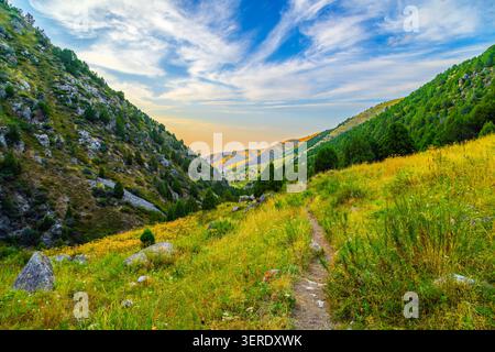 Scenic mountain valley features a winding dirt path through a grassy meadow in Kyrgyzstan. Wildflowers bloom alongside as the sun sets, illuminating d Stock Photo