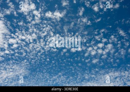 Cirrocumulus clouds, Warwickshire, UK Stock Photo