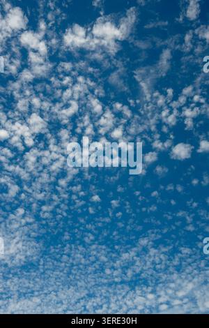 Cirrocumulus clouds, Warwickshire, UK Stock Photo