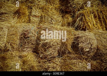 A detailed close-up shot captures the rough texture of stacked, dry golden hay bales, tightly bound and creating a rich tapestry of agricultural patte Stock Photo