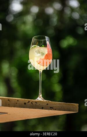 Refreshing citrus cocktail with grapefruit and mint Stock Photo