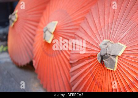 Three traditional orange oil-paper parasol umbrellas unfolded and resting outdoors on the ground, Kyoto, Japan Stock Photo