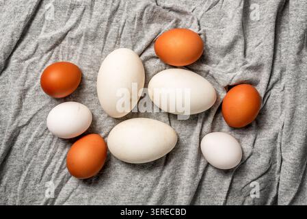 The close-up of mixed duck's eggs and white and brown chicken eggs on a grey cloth background Stock Photo