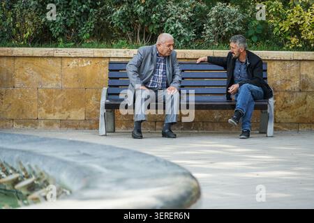 An older man in a grey suit and a younger man in a denim shirt and jeans sit opposite each other on a dark blue park bench. They are engaged in a focu Stock Photo