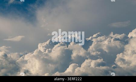 Small bird flying high in the blue sky against massive fluffy cumulus clouds. Stock Photo