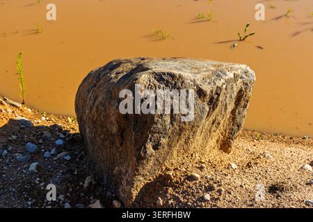 Large weathered boulder resting on a sandy shore of a muddy pond in a gravel quarry, rugged natural stone texture under golden daylight, earthy landsc Stock Photo