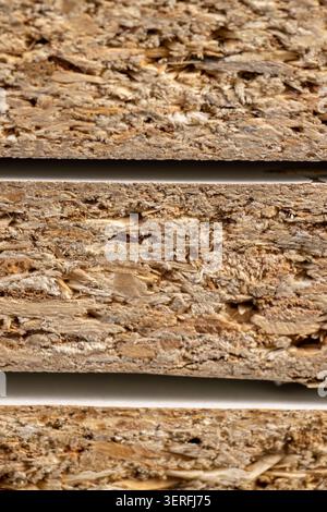 chipboard plate materials from a large amount of sawdust joined together, several boards from pine sawdust that can be used for construction, wood sha Stock Photo