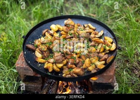 Fried potatoes cooking over open fire outdoors. Golden fried potatoes cook with herbs in a black skillet over an open fire on bricks in green grass. Stock Photo