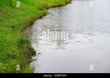 High-angle shot of a grassy shoreline with ripples on the calm water surface of a lake Stock Photo