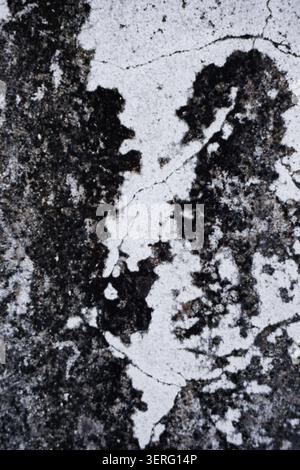 Abstract Grunge Texture of Old Cracked Concrete Wall with Black Mold Stain Stock Photo