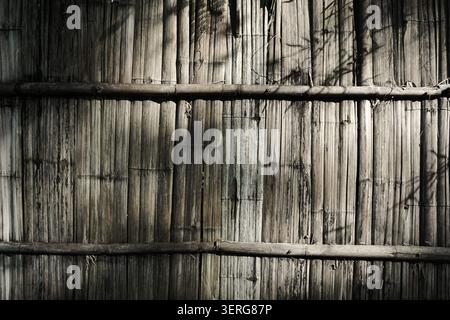 A captivating macro and texture photograph showcasing an authentic, weathered bamboo fence made from tightly arranged vertical bamboo slats. Stock Photo