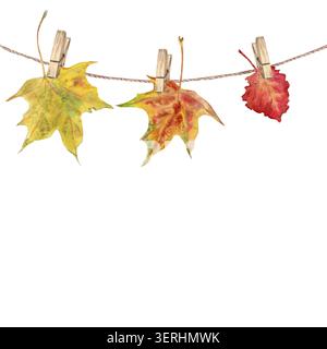 A hand-painted watercolor composition of autumn red and yellow maple and aspen leaves, hung on clothespins from a rope against an isolated background. Stock Photo
