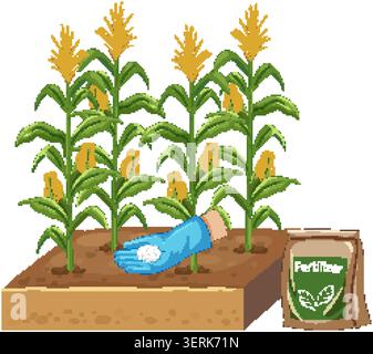 Gloved hand applies granular fertilizer to corn stalks in soil, flat vector style, white background Stock Vector
