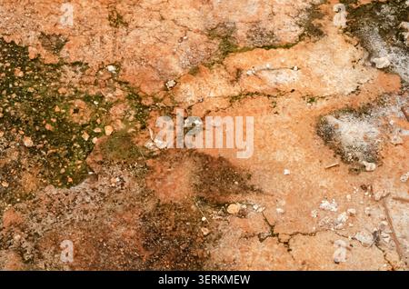 Rough Textured Concrete With Growing Moss Stock Photo