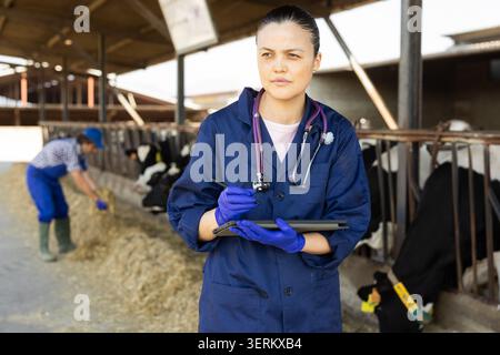 Middle-aged female vet checking cows with tablet at dairy farm Stock Photo