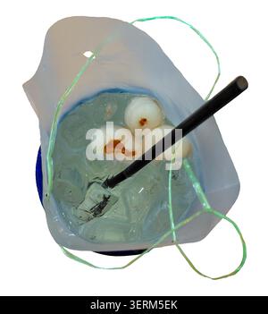 Refreshing iced lychee drink in a clear plastic bag with a black straw, filled with ice cubes and succulent peeled lychee fruits. A sweet tropical bev Stock Photo