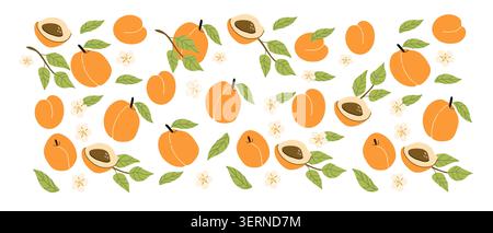 Collection of abstract apricot, fruit set or pattern, contemporary art print. Modern background with hand drawn apricot fruit. Trendy design for wrapping paper, packaging, wall decor. Stock Vector