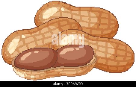 Detailed vector graphic of whole peanuts and an open shell on a white background Stock Vector