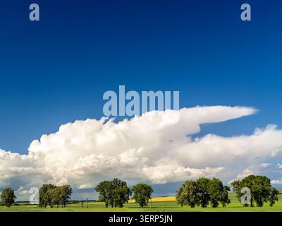Dramatic deep-blue sky filled with towering white cumulus clouds above green fields, trees and distant yellow crops, Stock Photo