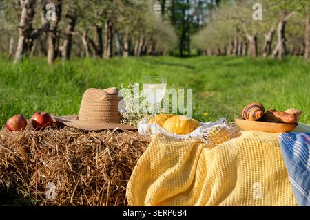 Picnic with croissants, pastries, lemons and apples on a blanket in a Stock Photo