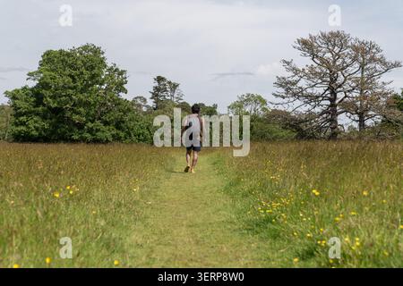 Man hiking barefoot on nature path through meadow Stock Photo