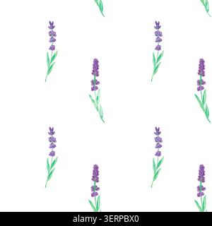 Seamless watercolor pattern with purple lavender sprigs and green leaves isolated on white. Botanical repeat for modern packaging, luxury stationery, Stock Photo
