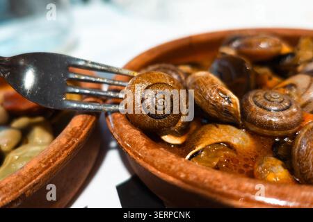 Fork Holding Traditional Spanish Snail Above Plate of Murcian Caracoles Stock Photo