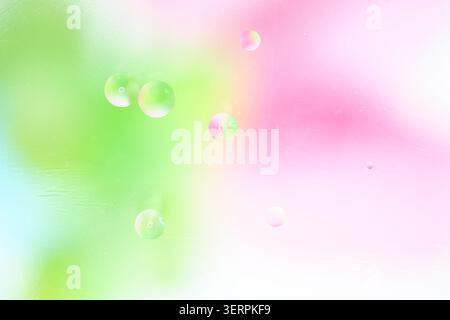 Macro bubbles on a pastel green and pink gradient background, soft blur, bright airy composition, copy space  Stock Photo