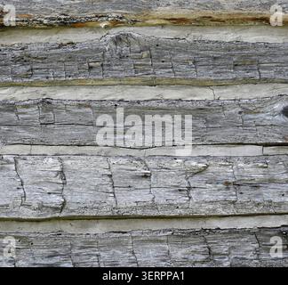 Horizontal close up of log cabin logs with natural wood patina, cracks, chips, cut marks, insect holes, and porous uneven cracked chinking Stock Photo