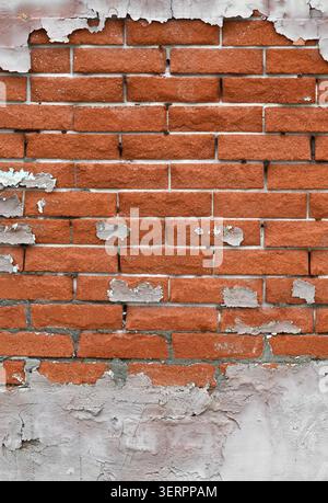 Vertical close up of a weatherworn red brick wall surface with cracked peeling white paint, worn mortar gaps, exposed brick Stock Photo