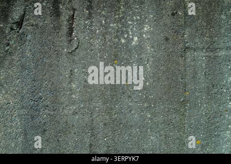 Old Cement Wall Texture with greenish tint, Natural Weathering Effects Stock Photo