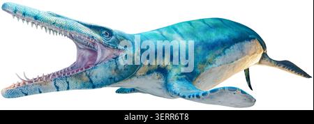 Close-up side view of a Tylosaur - isolated on White background Stock Photo