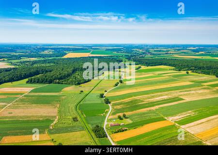Amazing rural landscape in wester Slavonia, fields in Veliki Zdenci agriculture area, Daruvar region, Croatia. Stock Photo