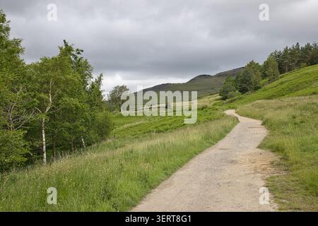 Winding gravel hiking path cutting through lush green fields and birch trees toward rolling hills at Dovestone Reservoir, Peak District, UK. Stock Photo
