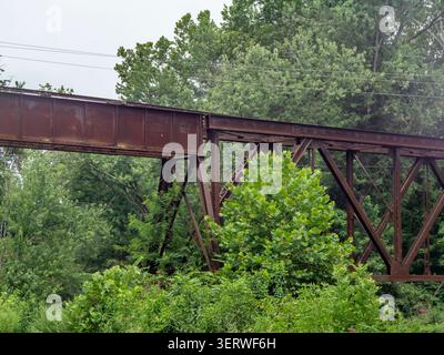 A rusty metal bridge crosses a small clearing filled with thick green trees and bushes. The structure shows signs of aging and is surrounded by nature on a cloudy day. Stock Photo