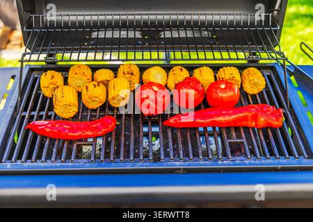 Close-up view of grilled corn cobs, roasted tomatoes and sweet red peppers cooking on outdoor gas barbecue grill. Sweden. Stock Photo