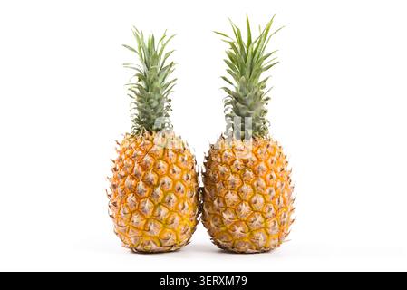 Two ripe pineapples with green crowns on a plain white background Stock Photo