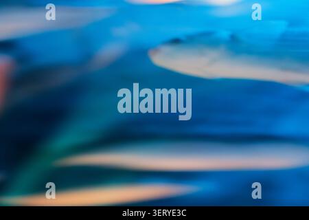 Fishs in motion as an tranquil blue background for marine related scenes and compositions Stock Photo