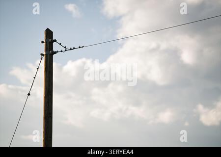 Small birds perching on a power line. Connected to a wooden utility pole against a backdrop of a blue sky with soft white clouds Stock Photo