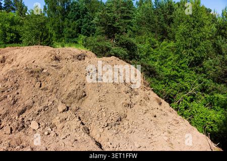 Large mound of loose earth dumped at the edge of a wooded ravine, showing raw soil texture and uneven debris piled up in a natural forest clearing are Stock Photo
