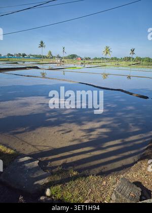 Heart Rice Paddy Vast green rice fields stretching across the valley with a narrow ...