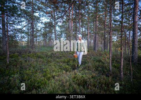 Tired middle aged woman forager walking in autumn pine forest at dusk.  Stock Photo