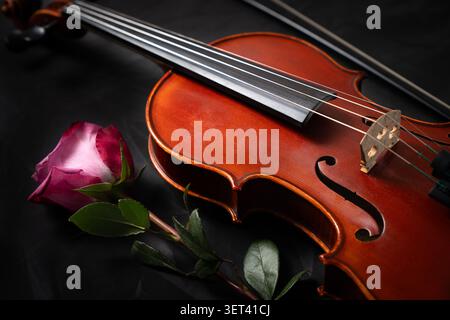 A violin beside a pink rose on a dark background. A timeless still life symbolizing romance, passion, and classical music, highlighted by rich wood textures, graceful curves, and dramatic lighting. Stock Photo
