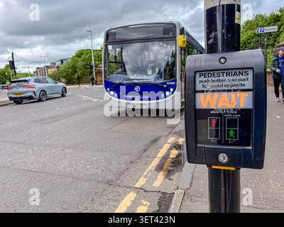 Pedestrian traffic signal. Bus and car in background, Glasgow. Stock Photo