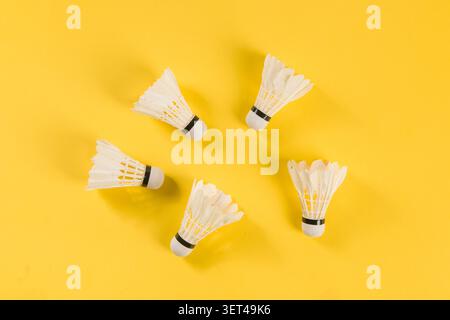 White badminton shuttlecocks with feathers arranged on a bright yellow background Stock Photo